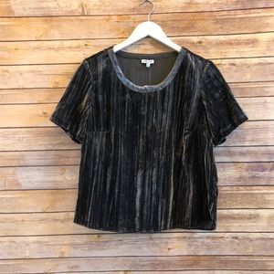 Splendid Moonstone Velvet Short Sleeve Tee Size Medium NWT